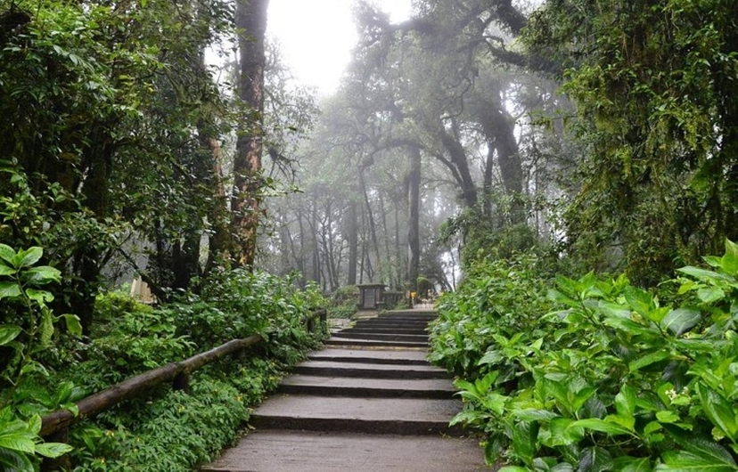 Chiang Mai: One day Doi Inthanon-Kew Mae Pan Nature Trail-Waterfall-Lunch 4