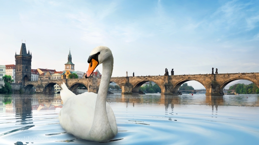 7 Day Bohemia UNESCO Heritage Tour: Prague, Cesky Krumlov & Czech Countryside 4