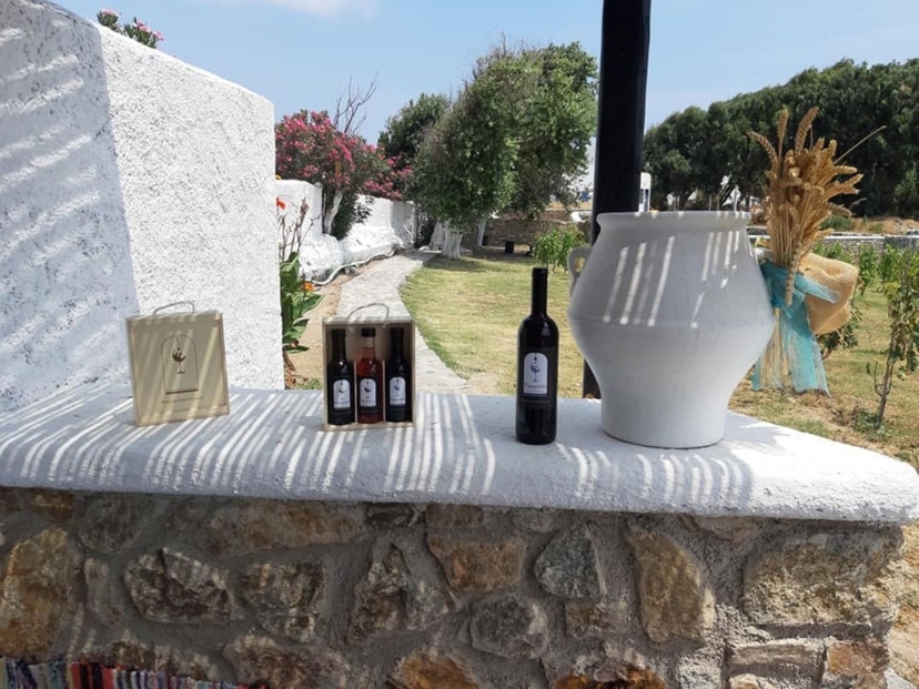 Wine Tasting in our Mykonian Farm 4