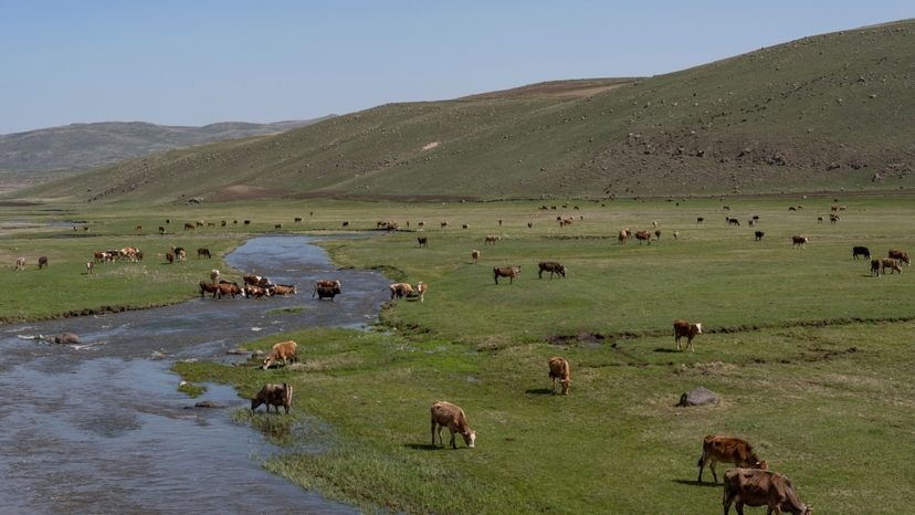 3 Days Ardahan City Tour 3
