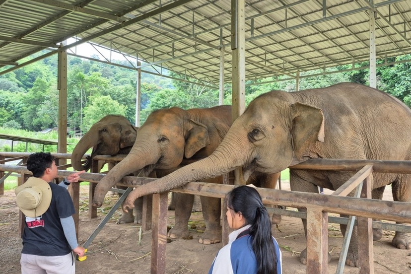 Discover Thailand: Culture, Nature & Island Escape (Bangkok-Chiang Mai-Phuket) 3