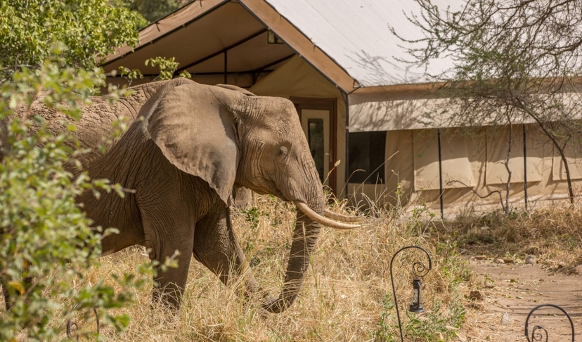 5-Day Scenic Mid-Range Group Safari Expedition 3