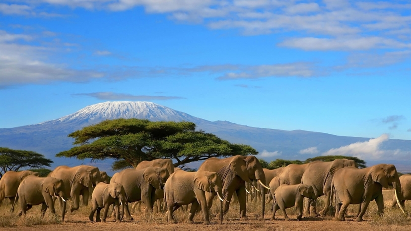 3 Days 2 Nights Amboseli National Park 2