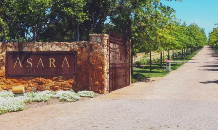 Cape Winelands Private Full Day Tour | Stellenbosch, Franschhoek & Wine Experience 4
