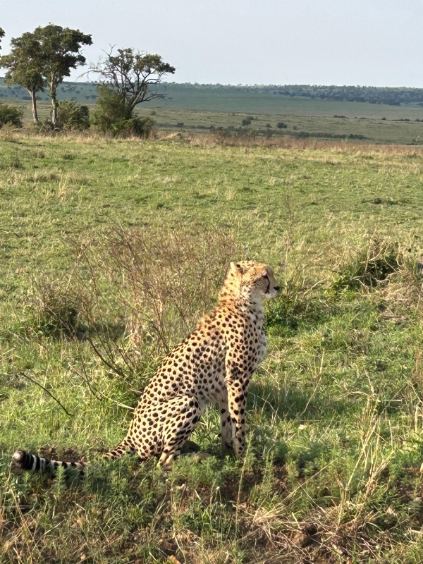 7 Days Educational Tour- Nairobi, Nyahururu, Aberdare, Naivasha Experience 3