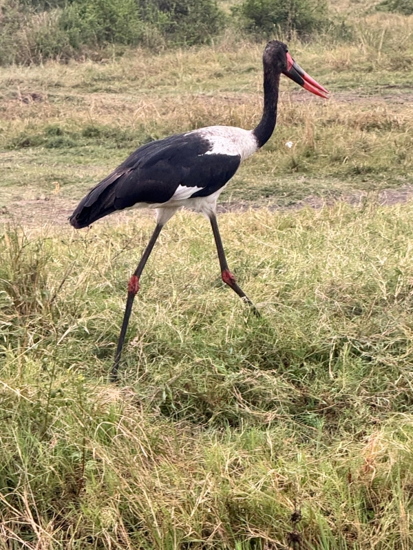 7 Days Educational Tour- Nairobi, Nyahururu, Aberdare, Naivasha Experience 4