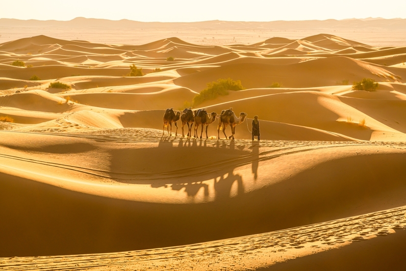 12 Day Morocco Tours Ultimate Guide to Exploring Morocco’s Splendor 2