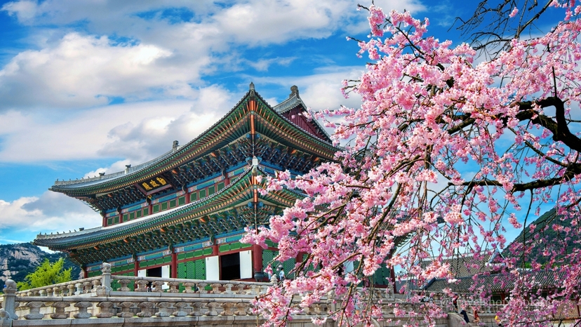Seoul + Busan Package (4 Nights / 5 Days) 2
