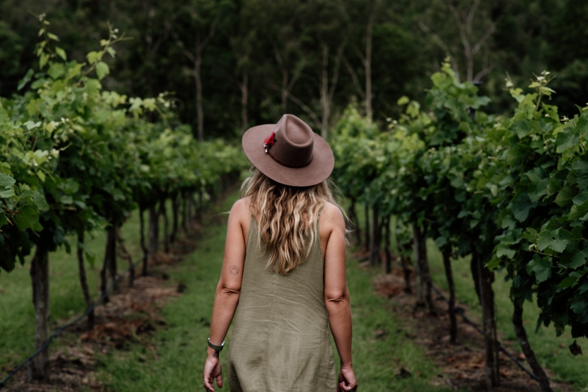 Tamborine Mountain - Hop On Hop Off - From Brisbane & Gold Coast 1