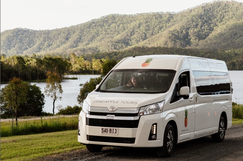 Hop on Hop off Glow Worm Day Tour from Brisbane or the Gold Coast 4