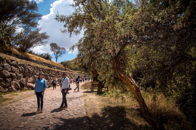 Cusco City Tour Half Day | Cathedral, Qorikancha & Inca Sites 4