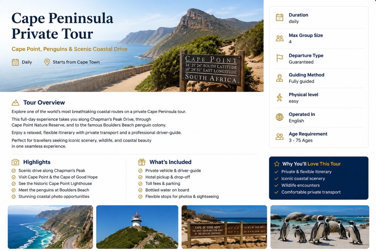 Cape Peninsula Private Tour | Cape Point, Penguins & Scenic Coastal Drive