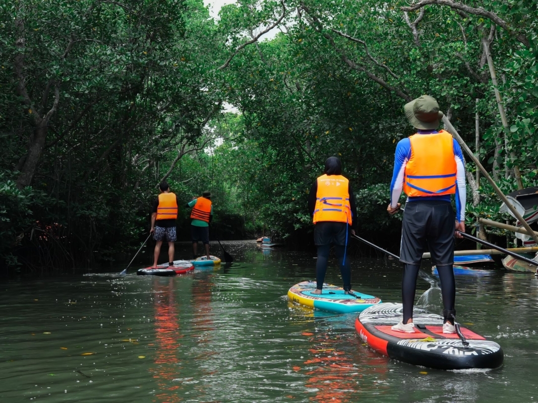 Bali Mangrove Forest Tour by Stand Up Paddle (SUP Mangrove Forest) 1