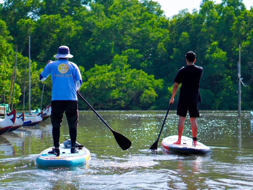 Bali Mangrove Forest Tour by Stand Up Paddle (SUP Mangrove Forest) 2