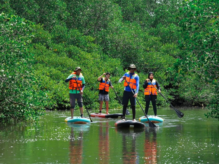 Bali Mangrove Forest Tour by Stand Up Paddle (SUP Mangrove Forest) 3