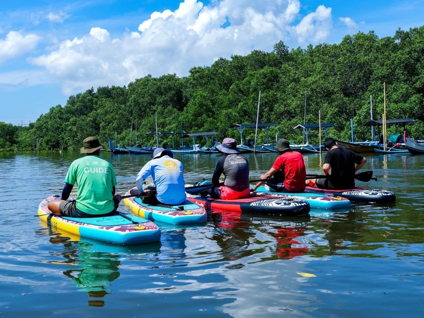Bali Mangrove Forest Tour by Stand Up Paddle (SUP Mangrove Forest) 4