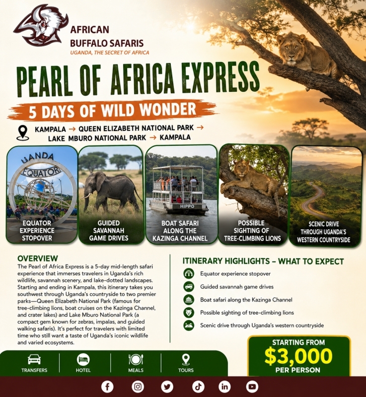 Pearl of Africa Express – 5 Days of Wild Wonder 4