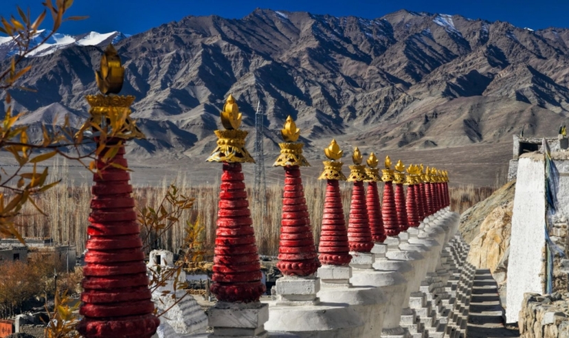 Land of the Lamas 2