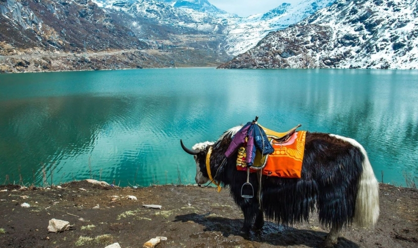 Eastern India Himalaya Darjeeling & Gangtok 3