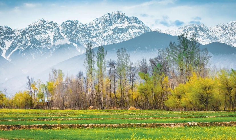 Srinagar City Tour 2