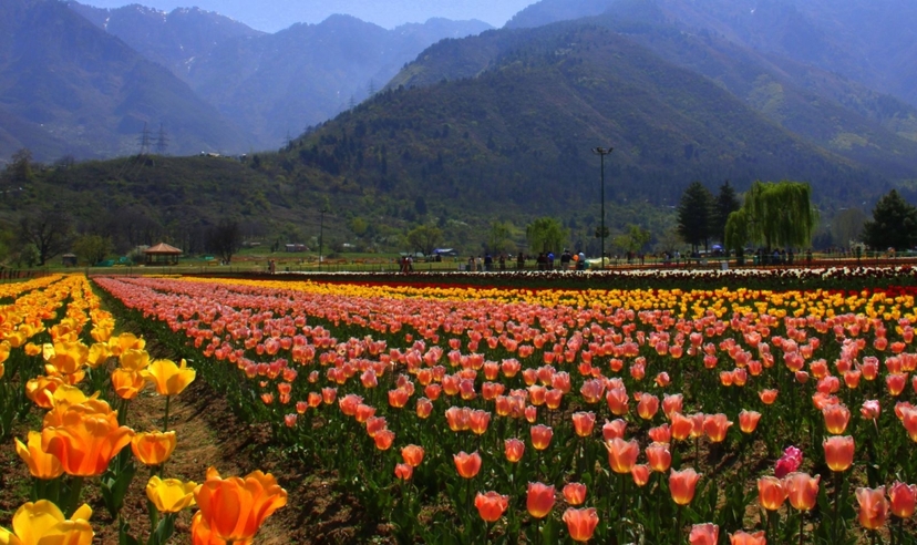Kashmir Experience 2