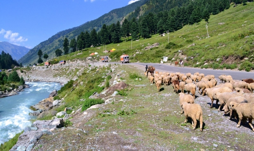 Kashmir Experience 4