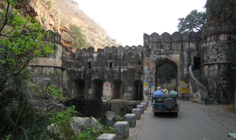 India Tiger Safari Experience, Ranthambore & Bandhavgarh 3