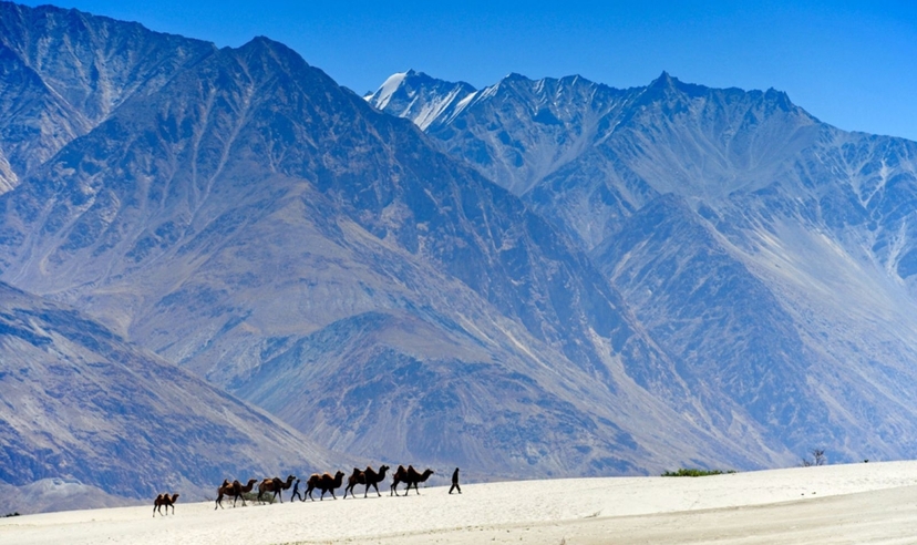 Leh Ladakh Cultural & Nature Experience 2