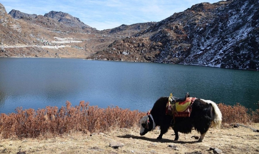 North East India Himalayan Experience 4