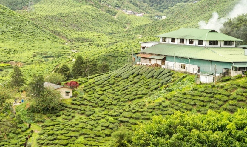 Amazing Kerala 3