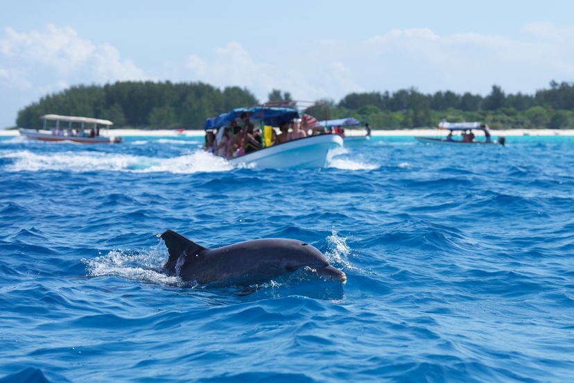 Zanzibar:Mnemba Island Dolphin & Snorkeling Matemwe Boat Trip 2