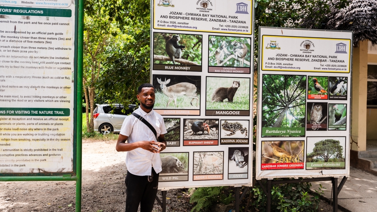 Zanzibar: Jozani Forest with Red Colobus Monkey & Transfer 1