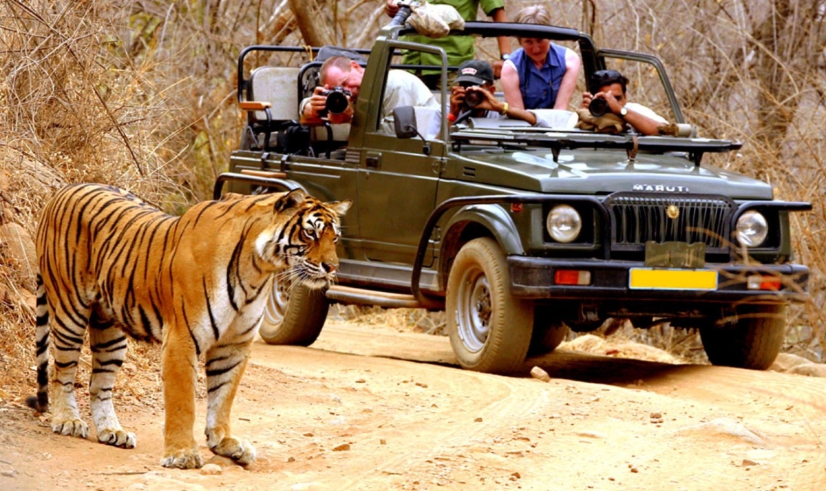 Golden Triangle Tour with Bandhavgarh 1
