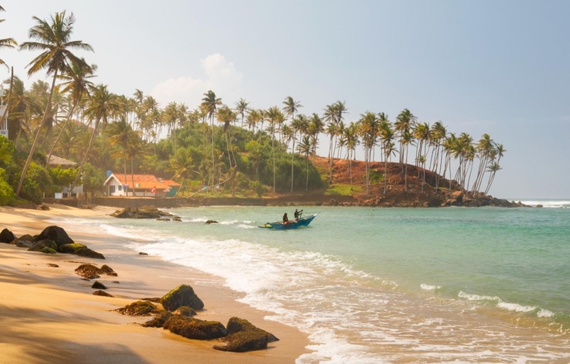 Sri Lanka, Wonders of the Wild 2