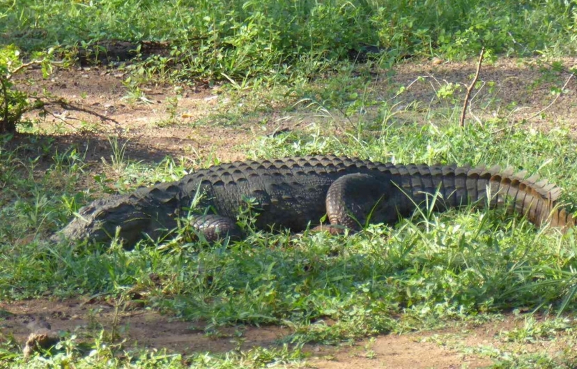 Sri Lanka, Wonders of the Wild 3