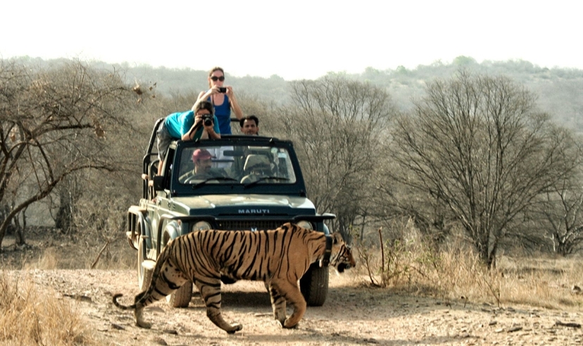 India Tour Golden Triangle Cultural Experience 2