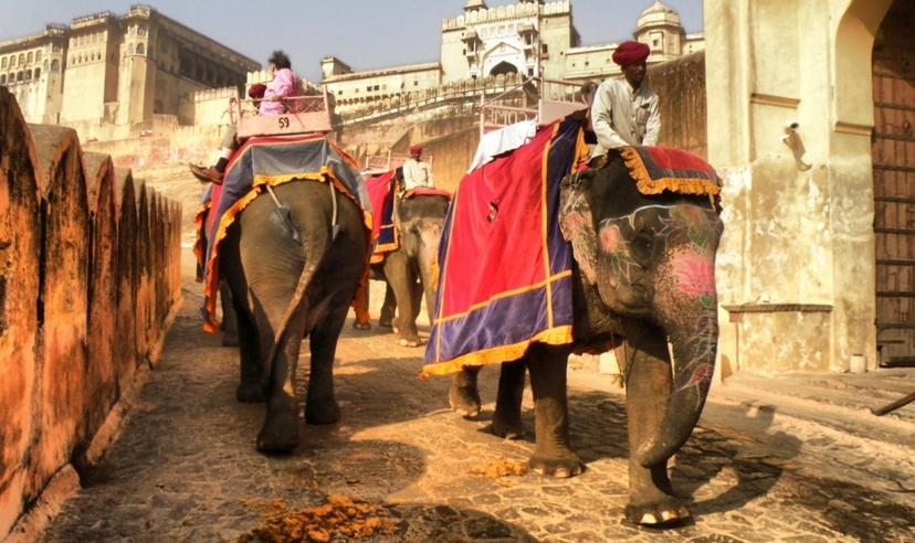 Rajasthan with Nepal Tour 4