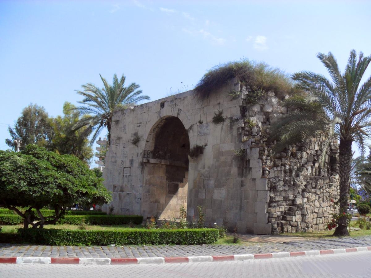 Image 1