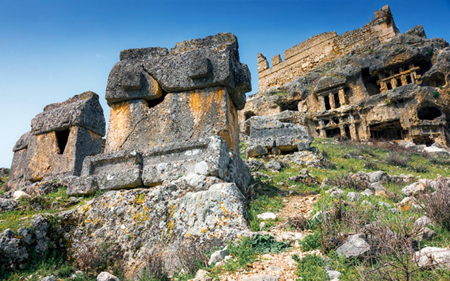 Image 1
