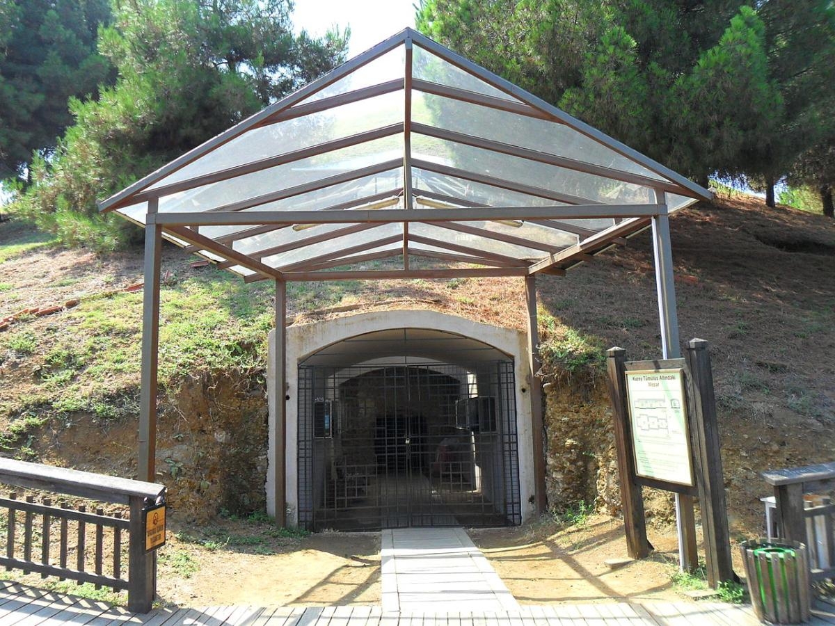 Image 1