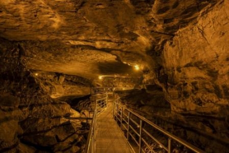 Cal Cave