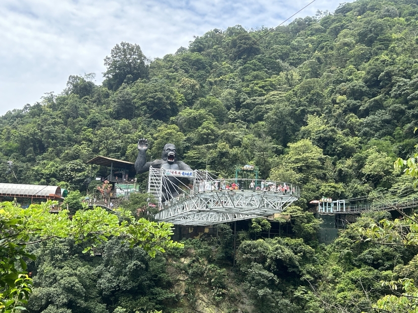Private Day Tour to Gulong Canyon Glass Bridge from Guangzhou 2