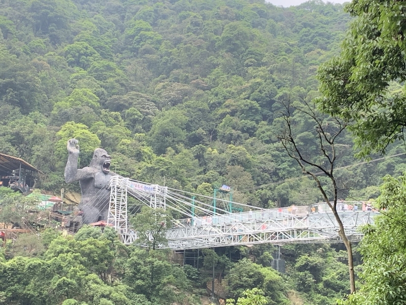 Private Day Tour to Gulong Canyon Glass Bridge from Guangzhou 3