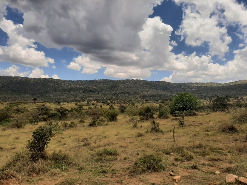 3 Days Maasai Mara Safari 2