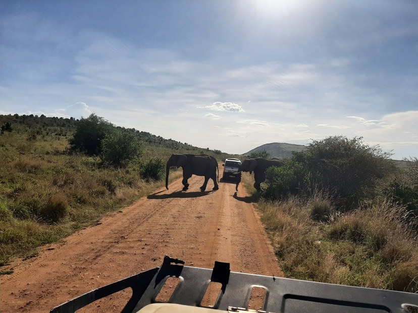 3 Days Maasai Mara Safari 3