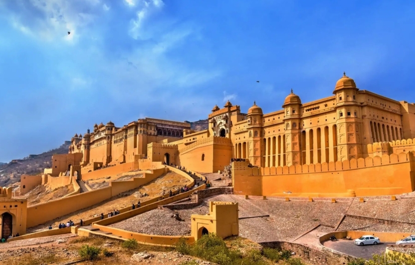 India Tigers and Taj Tour 4