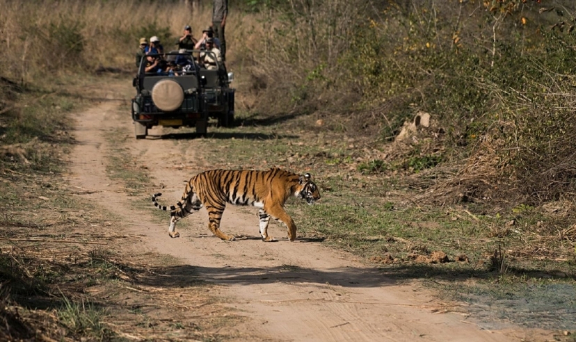 Amazing North India with Ayodhya 3