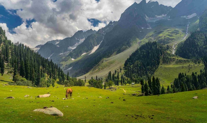 Kashmir Bliss Trail Tour 2