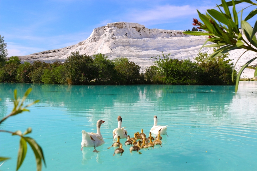 Pamukkale & Hierapolis tour with Dnz Airport 2