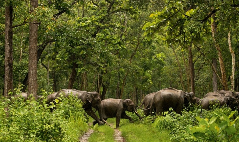 Kerala Enchanting Trails Tour 3